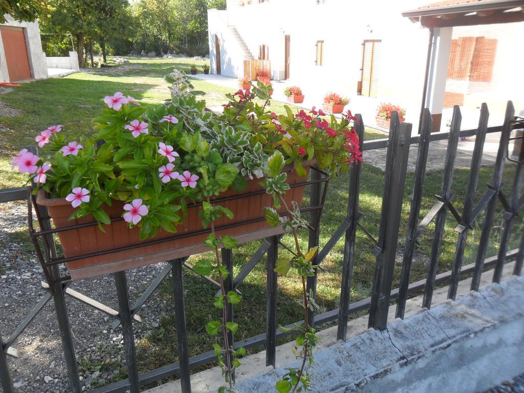 Apartmani Bartulasi Roč Buitenkant foto